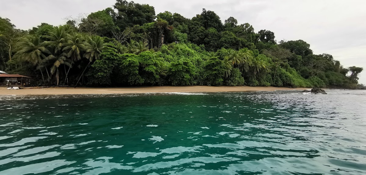 Bahía Drake, Pacífico Sur — Costa Rica Travel TV