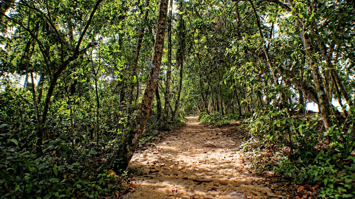 Cahuita, Caribe Sur — Costa Rica Travel TV