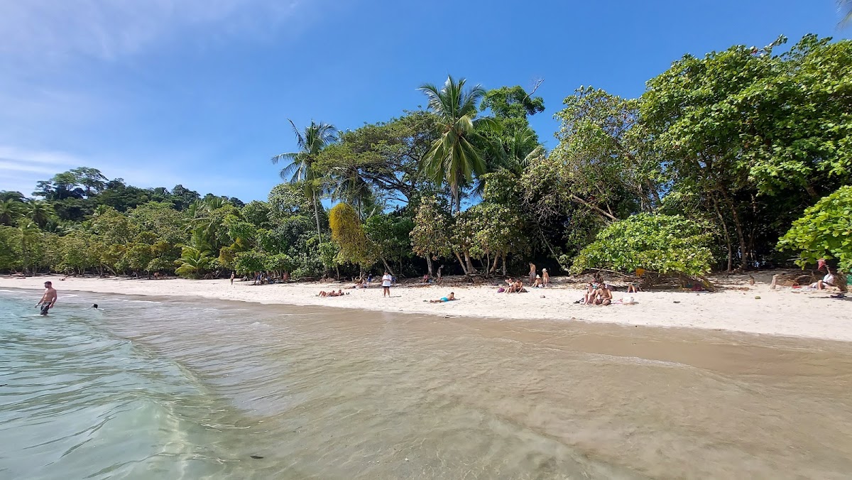 Punta Catedral, Manuel Antonio