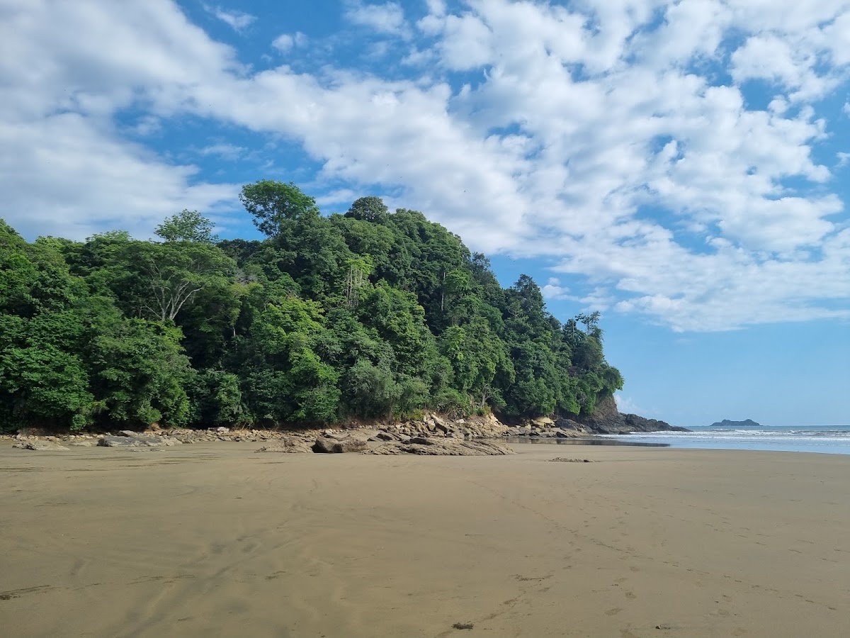 Uvita y Bahía Ballena, Pacífico Sur — Costa Rica Travel TV